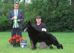 Breeder Liaison Linn Klingel submitted a report summarizing the local all breed kennel club s judges panels. Those responding would like to see stronger major entries on both sides to continue.