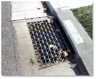Operations Report: Curbs and Catchbasins Street curbs Stormwater Catchbasins The District employs seasonal staff to check and treat mosquitoes in