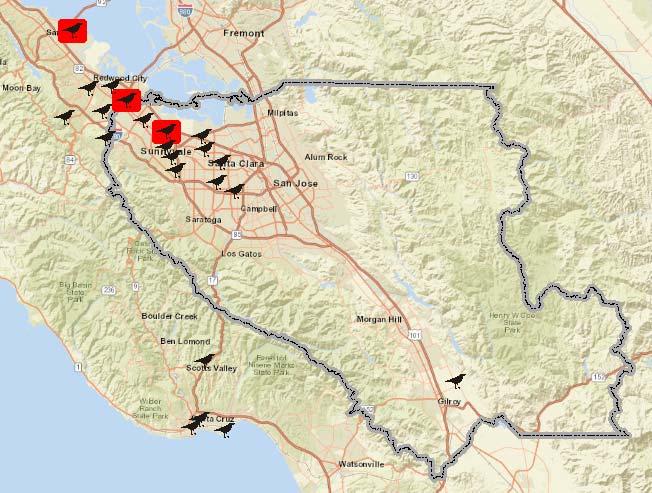 in California (see map at right). At this time last year, zero positive birds had been reported. No positive mosquito samples have been reported to the state so far this year.