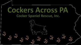 Cockers Across PA Cocker Spaniel Rescue, Inc. ADOPTION APPLICATION Cockers Across PA Cocker Spaniel Rescue, Inc.