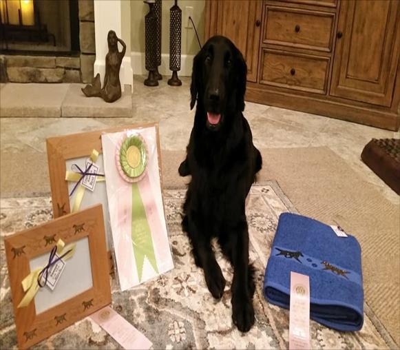 SSFCRC Newsletter Page 2 SSFCRC 2018 Supported Entry - Results and Photos SSFCRC held their Supported Entry on February 17 at the Lakeland-Winter Haven Dog Show in Lakeland FL.
