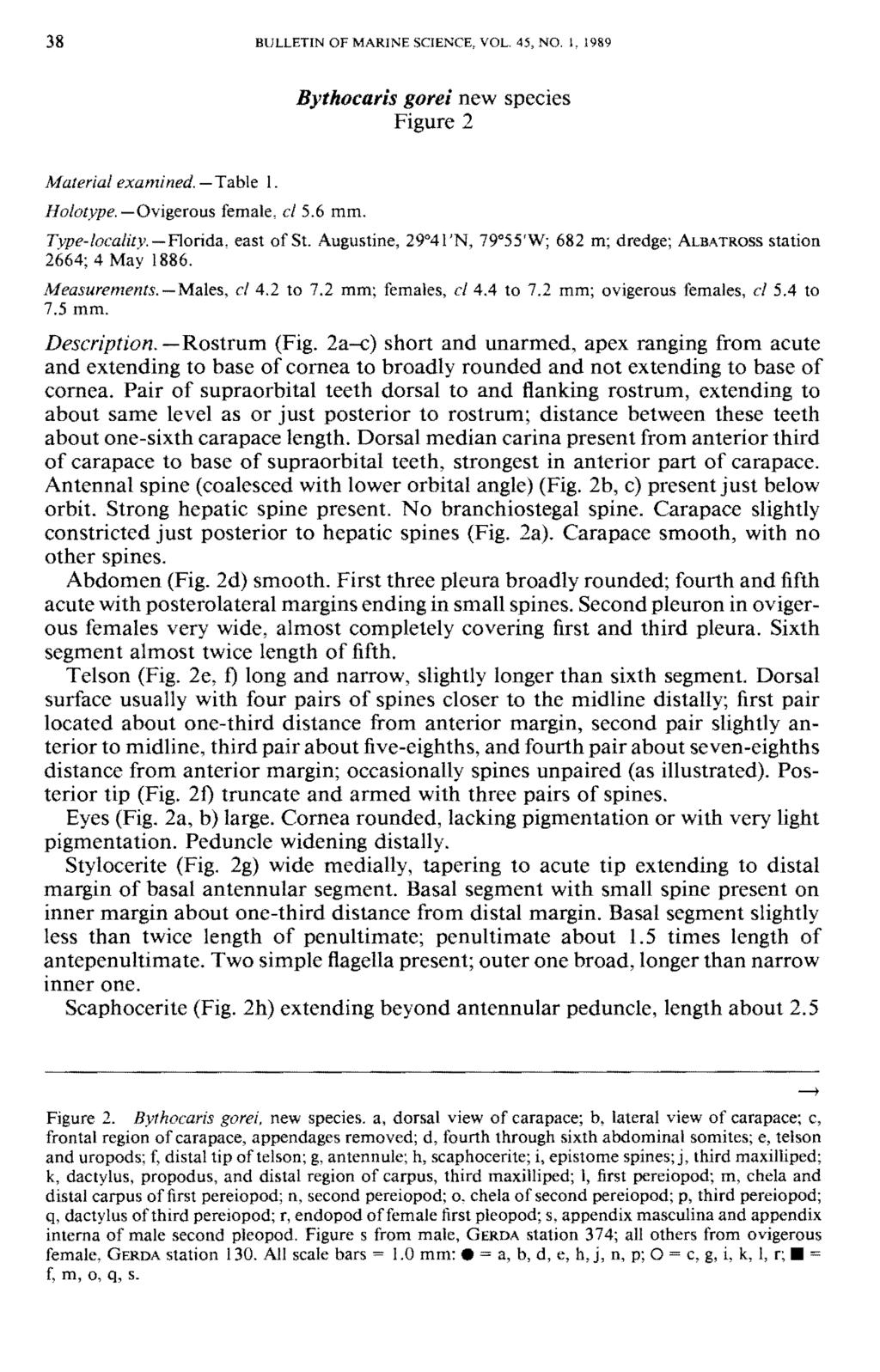38 BULLETIN OF MARINE SCIENCE, VOL. 45, NO. 1, 1989 Bythocaris gomi new species Figure 2 Material examined. TiMt 1. /fotevpe. Ovigerous female, d 5.6 mm. Type-localitv. \ondz. east of St.