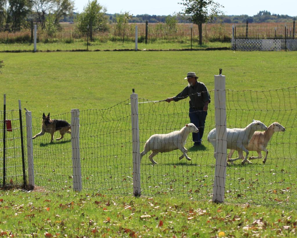 qualified both days in Pre -Trial Herding Eywa-Julie Swinland -2nd leg Tiri-Julie Swinland-2nd leg The following dogs completed both legs at this test