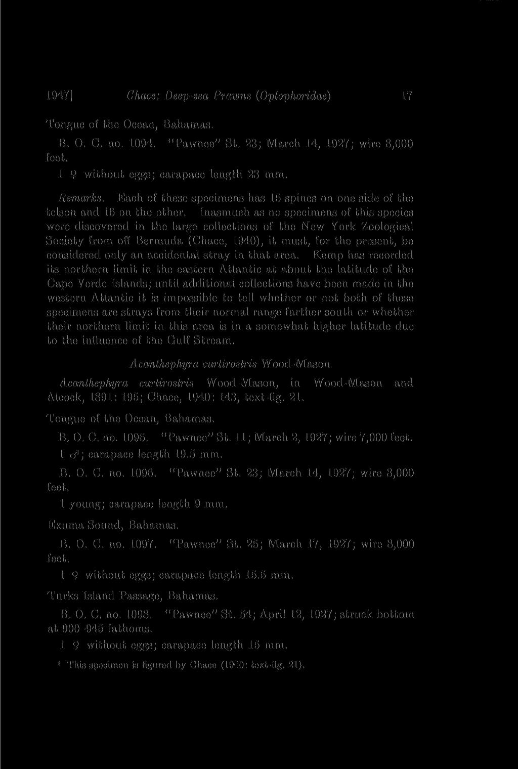 1947] Chace: Deep-sea Prawns (Oplophoridae) 17 Tongue of the Ocean, Bahamas. B. 0. C. no. 1094. "Pawnee" St. 23; March 14, 1927; wire 8,000 1 9 without eggs; carapace length 23 mm. Remarks.