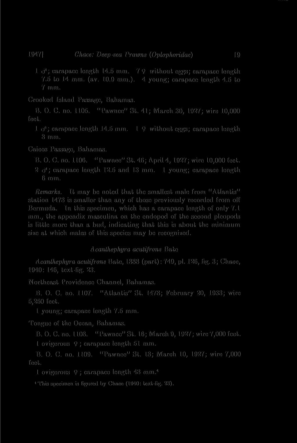 1947] Chace: Deep-sea Prawns (Oplophoridae) 19 1 d"; carapace length 14.5 mm. 7 9 without eggs; carapace length 7.5 to 14 mm. (av. 10.9 mm.). 4 young; carapace length 4.5 to 7 mm.