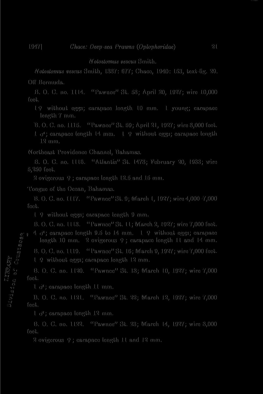 1947] Chace: Deep-sea Prawns (Oplophoridae) 21 Notostomus vescus Smith. Notostomus vescus Smith, 1887: 677; Chace, 1940: 153, text-fig. 29. Off Bermuda. B. 0. C. no. 1114. "Pawnee" St.