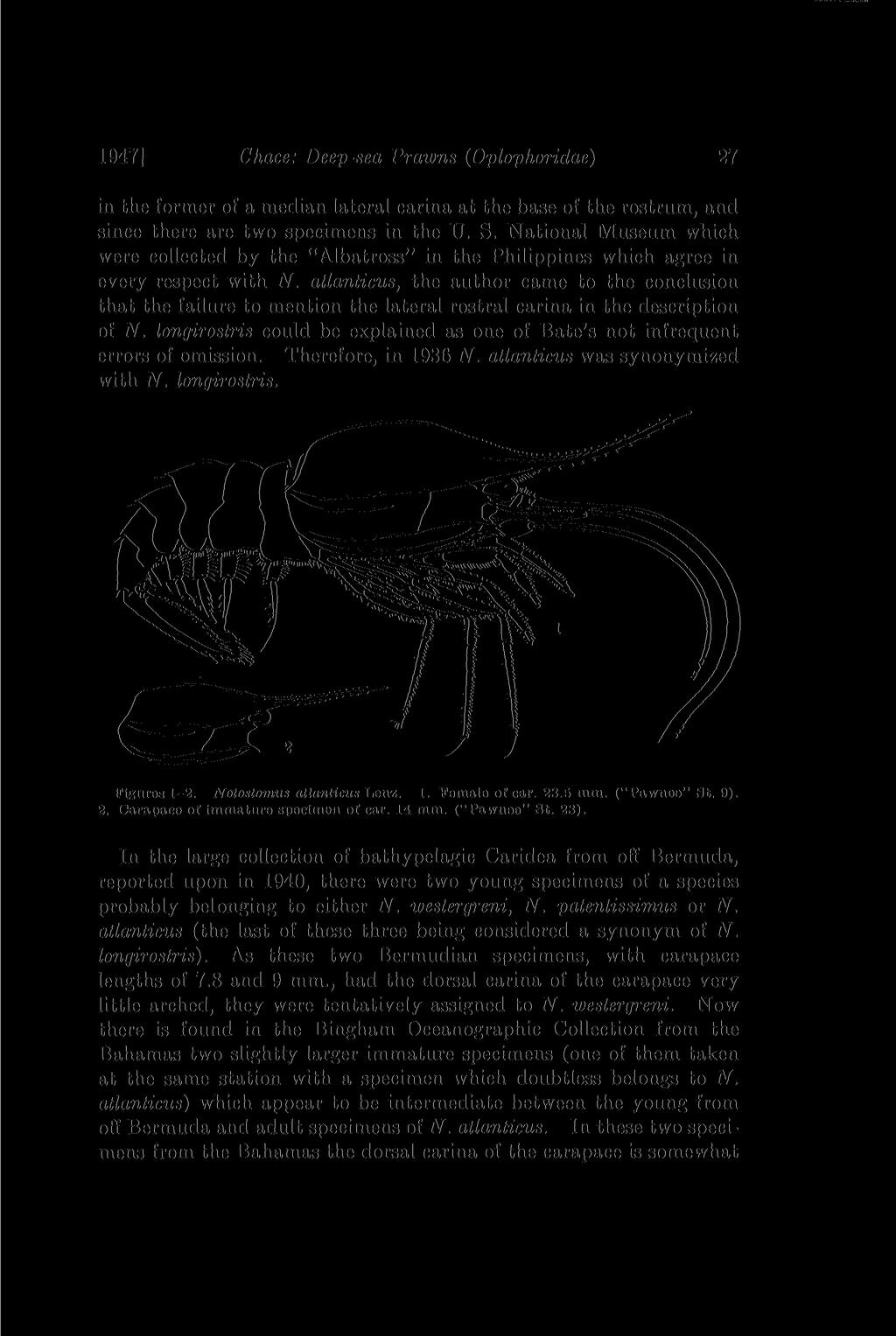 1947] Chace: Deep-sea Prawns (Oplophoridae) 27 in the former of a median lateral carina at the base of the rostrum, and since there are two specimens in the U. S.