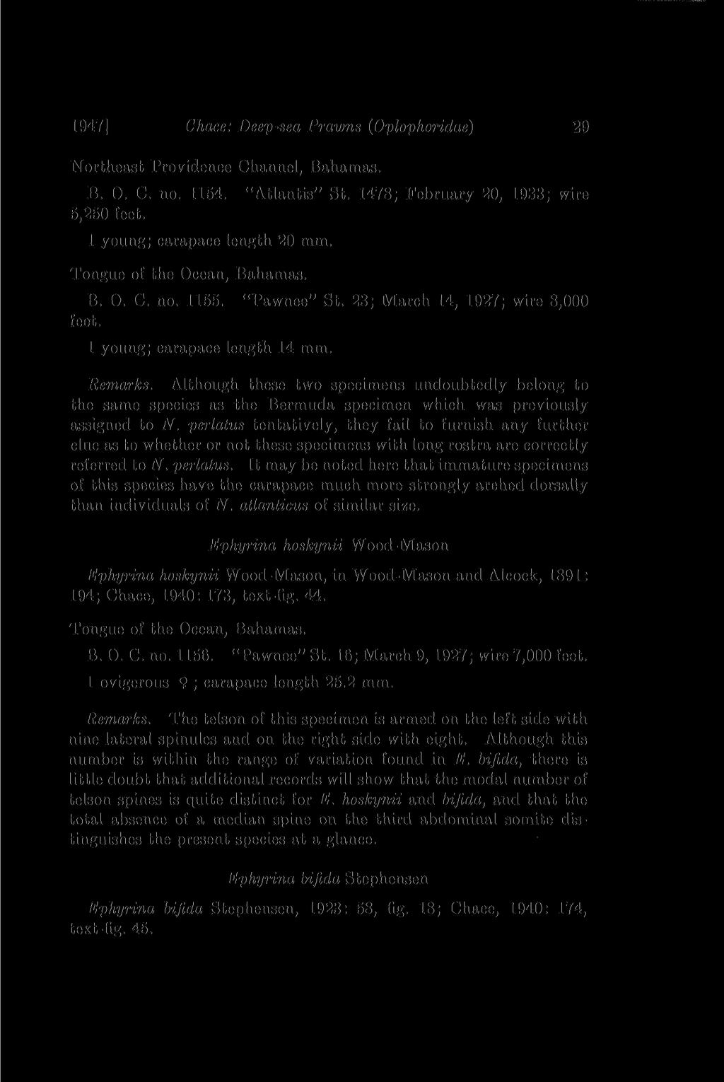 1947] Chace: Deep-sea Prawns (Oplophoridae) 29 Northeast Providence Channel, Bahamas. B. 0. C. no. 1154. "Atlantis" St. 1478; February 20, 1933; wire 5,250 1 young; carapace length 20 mm.