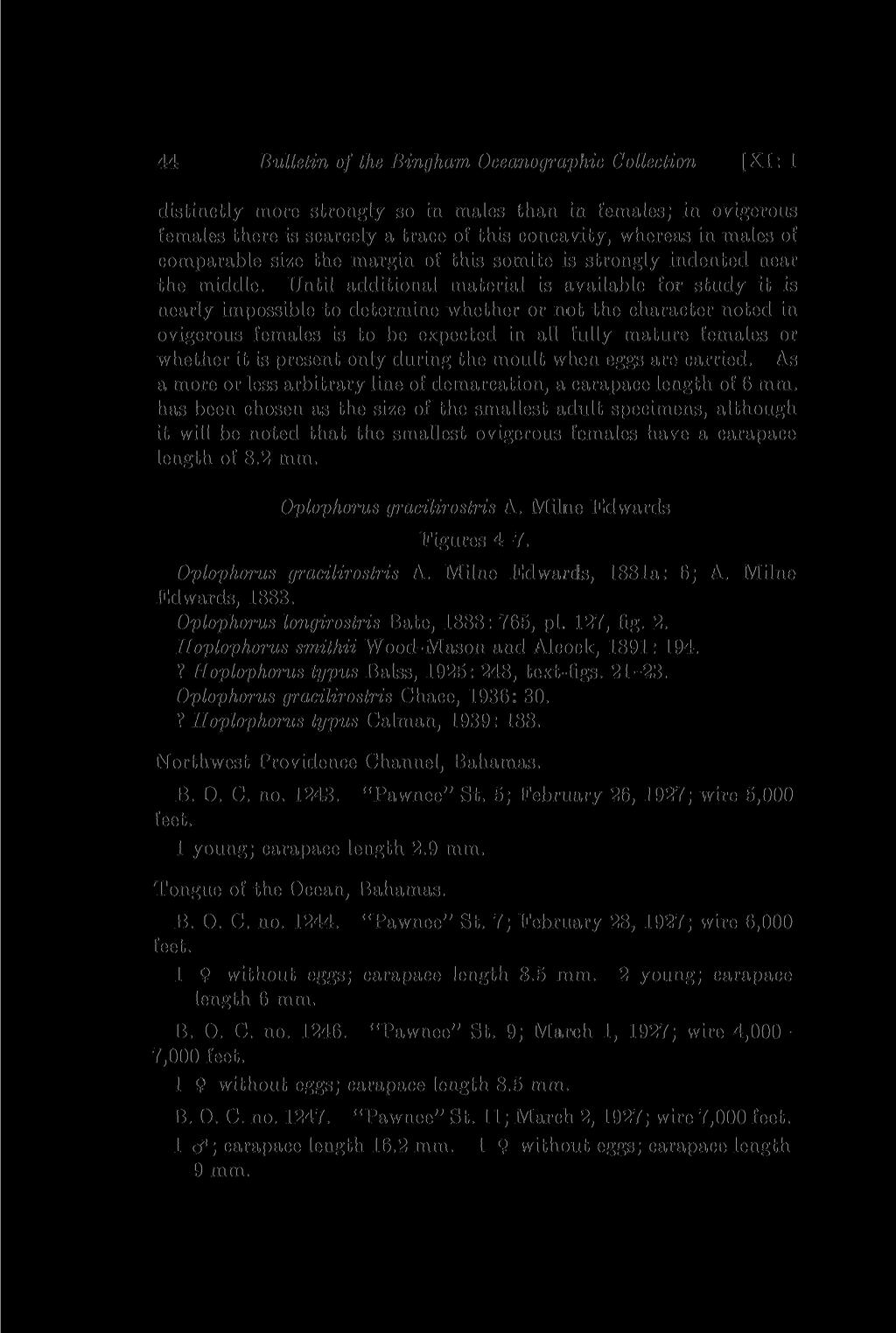 44 Bulletin of the Bingham, Oceanographic Collection [XI: 1 distinctly more strongly so in males than in females; in ovigerous females there is scarcely a trace of this concavity, whereas in males of