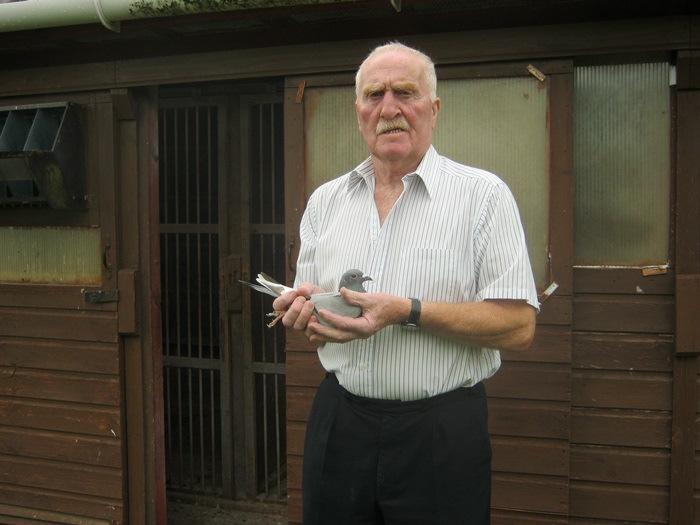 He has been trained having 3 x Poole 42 miles with the D/C & WSC Flying Club. Derek Vincent Barrie Smith from Sparsholt, Winchester is Runner Up to Johnny in the South East Section.