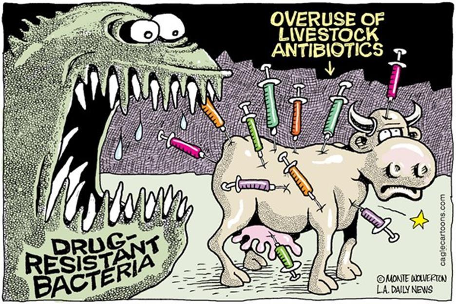 Outline What is Antibiotic Resistance?