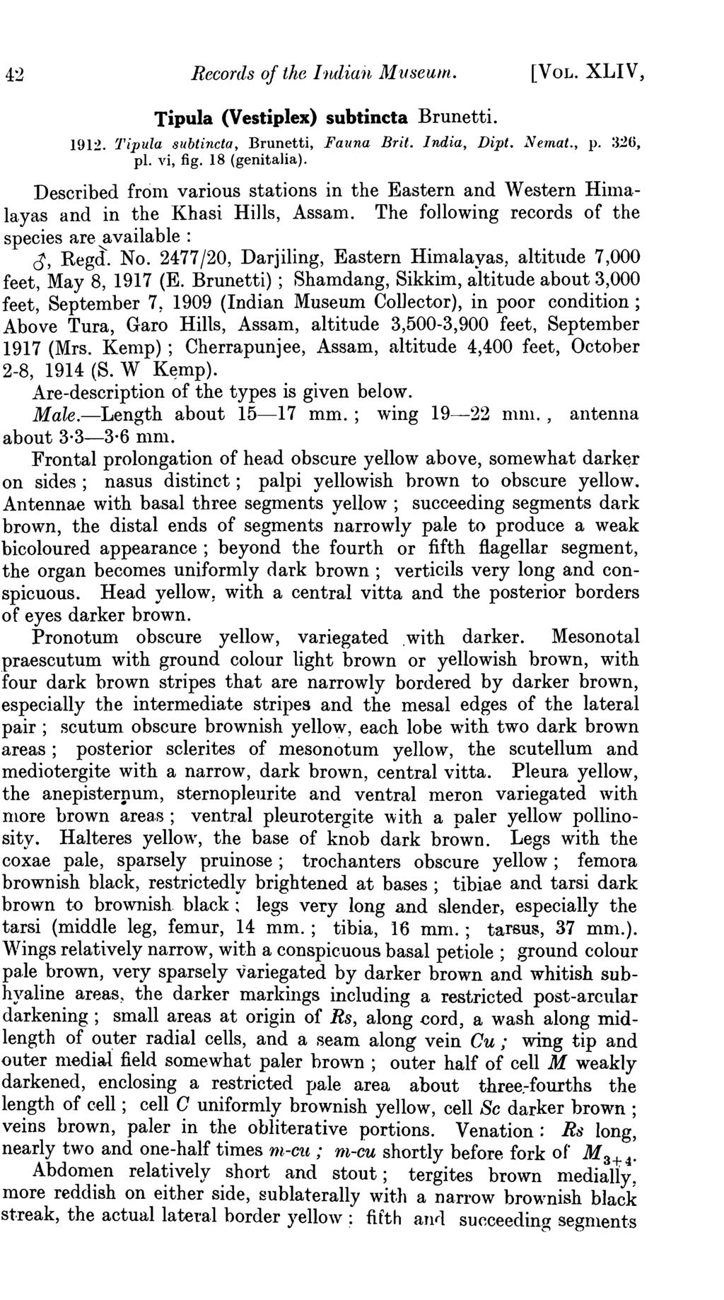 42 Records of the Indiaj~ Aluseuln. [VOL. XLIV, Tipula (Vestiplex) subtincta Brunetti. 1912. :Pipula 8ubtincta, Brunetti, Fauna Brit. India, Dipt. Nemat., p. :3;~6, pi. vi, fig. 18 (genitalia).