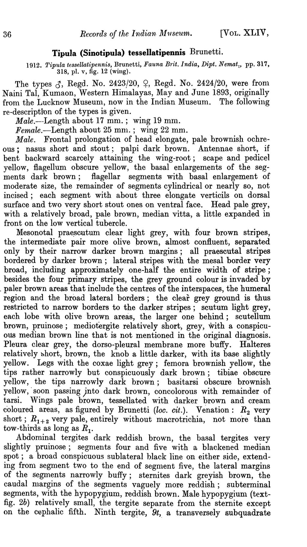 36 Reco rds of the Indian ~luseum. [VOL. XLIV, TipuIa (Sinotipula) tesseiiatipennis Brunetti. 1912. Tipula tessellatipennis, Brunetti, Fauna Brit. India, Dipt. N emat:, pp. 317, 318, pi. v, fig.