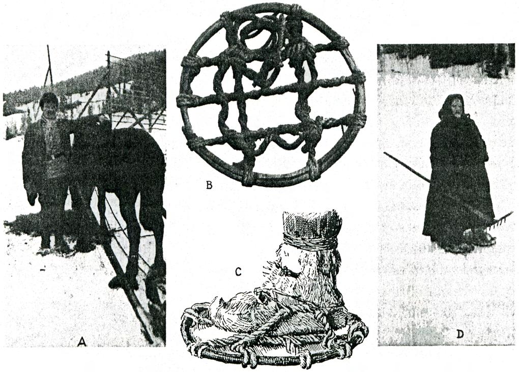 (VI) 27 Palæontologia Sinica Fig. 2. Man and horse with snowshoes. B. Circular snowshoe for horse. C. Finnish shoe with connected snowshoe. From Hansen (21). D. Woman with snowshoe.
