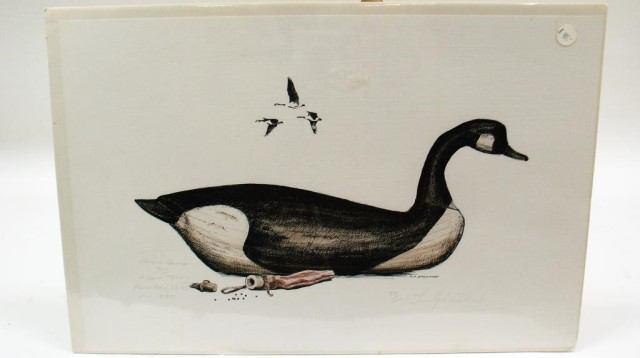 an Artists Proof of a Canada Goose.