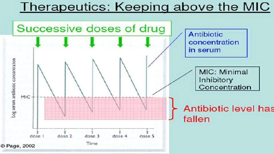 anyway -even if the patient is not using an antibiotic- the symptoms will spontaneously decrease after the second day of infection.