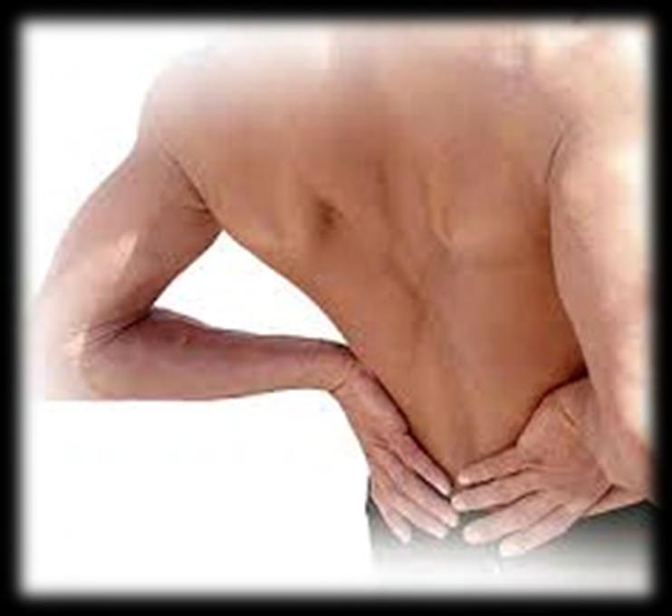 Frequent Complaints Fever Arthralgia Back Pain Fatigue Symptoms Other