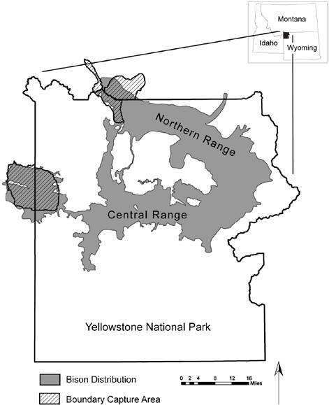 Figure 2. EIS analysis area. 1.5 Park Establishment, Mission, and Management Yellowstone National Park was established as the first park in the national park system in 1872.
