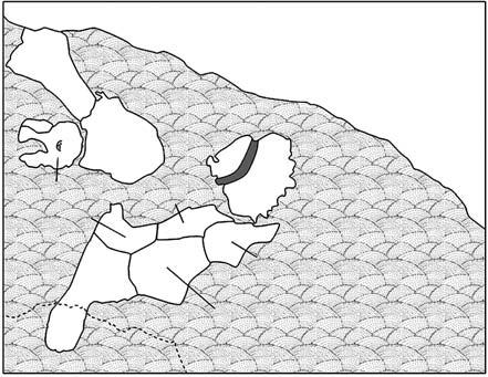 slab M1 tabular supratemporal postfrontal postparietal vertebra parietal jugal 50 mm femur Fig. 4. Photographs and drawings of paratypes of the capitosaur Calmasuchus acri gen. et sp. nov.