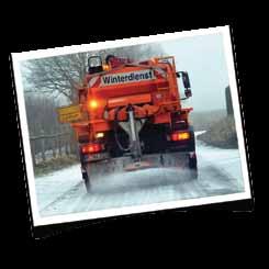 The combination of damp and cold conditions, road salt and grit as well as the dry air of central heating quickly leads to chapped digital pads and consequently inflammations.