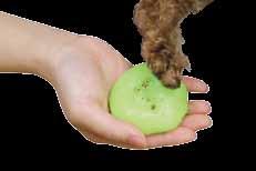 PawCare cares for the paws with natural substances such as jojoba oil, almond oil and allantoin that help the cell regeneration process and moisturize the pads without leaving