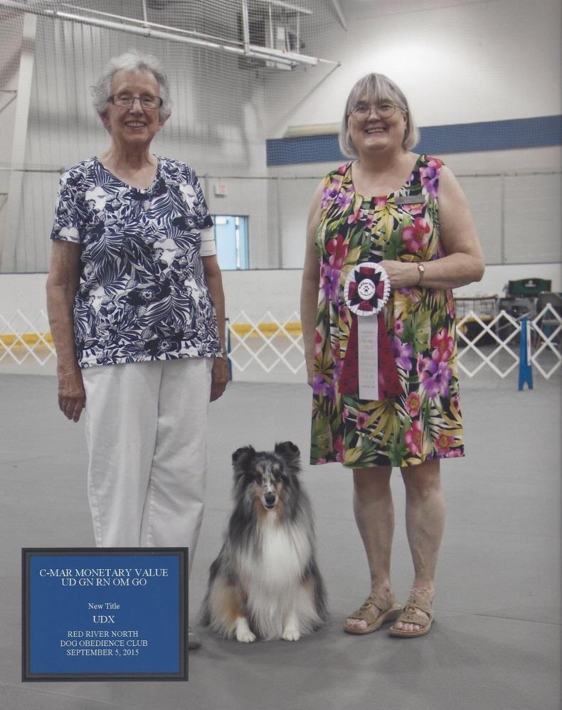 Susan Voss and her Shetland Sheepdog, Robbie (Dynestar Rockin' Robin CGC, BN, RN, CD) earned the Companion Dog (CD) Title with 3 second place wins at the Red River North Dog Obedience Club s show in