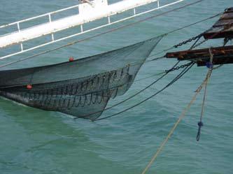 Comparative testing of bycatch reduction devices in tropical shrimp-trawl fisheries A practical guide trawls are towed from each boom, connected via a sled and spread open by a pair of otter boards.