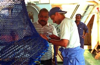 Comparative testing of bycatch reduction devices in tropical shrimp-trawl fisheries A practical guide all wires (warp wires, sweeps and bridles) should be checked to ensure there are no differences