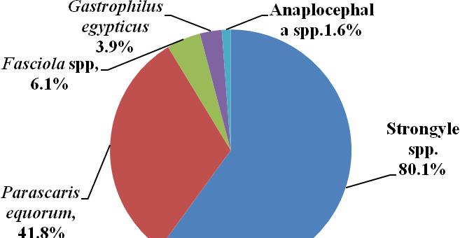 Figure 1: Overall prevalence of helminths in 504 donkeys in Wollo province In the present study the prevalence of helminth parasites in