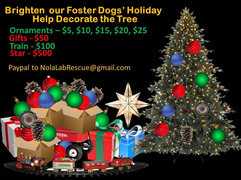 We and the dogs are truly grateful for your generosity. As of 12-18-18, 99 dogs have been welcomed into NOLA Lab Rescue this year.