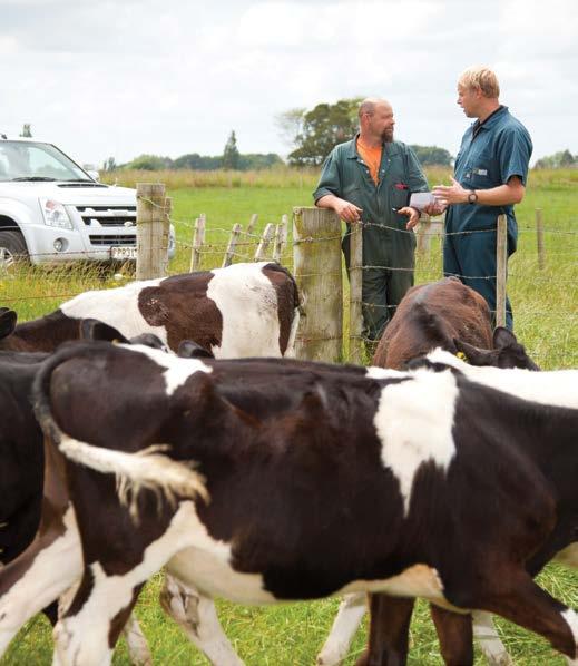 Introducing Anexa FVC Anexa FVC Vets has 14 clinics across the Waikato and Hauraki Plains. The practice provides services to both dairy and drystock farmers as well as your family pets.