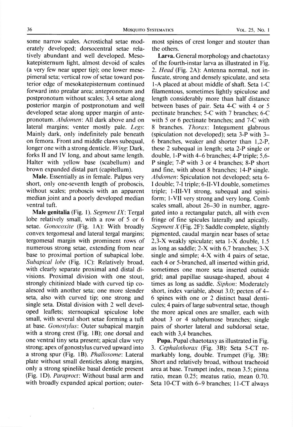 36 MOSQUITO SYSTEMATICS VOL. 25, No. 1 some narrow scales. Acrostichal setae moderately developed; dorsocentral setae relatively abundant and well developed.