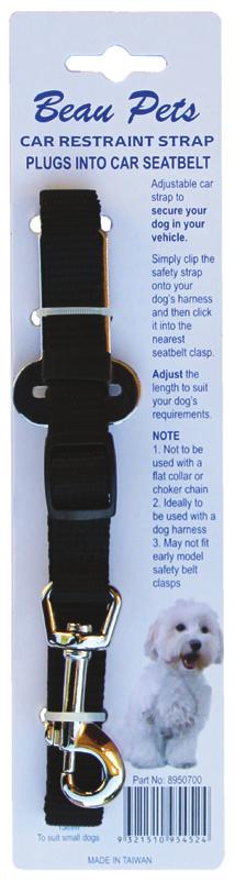have your dog restrained whilst
