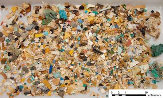 Marine Turtle Newsletter Issue Number 135 October 2012 Photo of anthropogenic debris (>3200 pieces) found in the large intestine of a small juvenile green turtle that was found stranded in southern