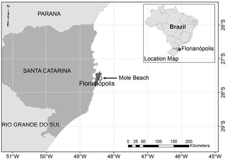 Figure 1. The location where the C. mydas stranded. Mole Beach is located on the island of Florianópolis, in Santa Catarina State, Brazil.