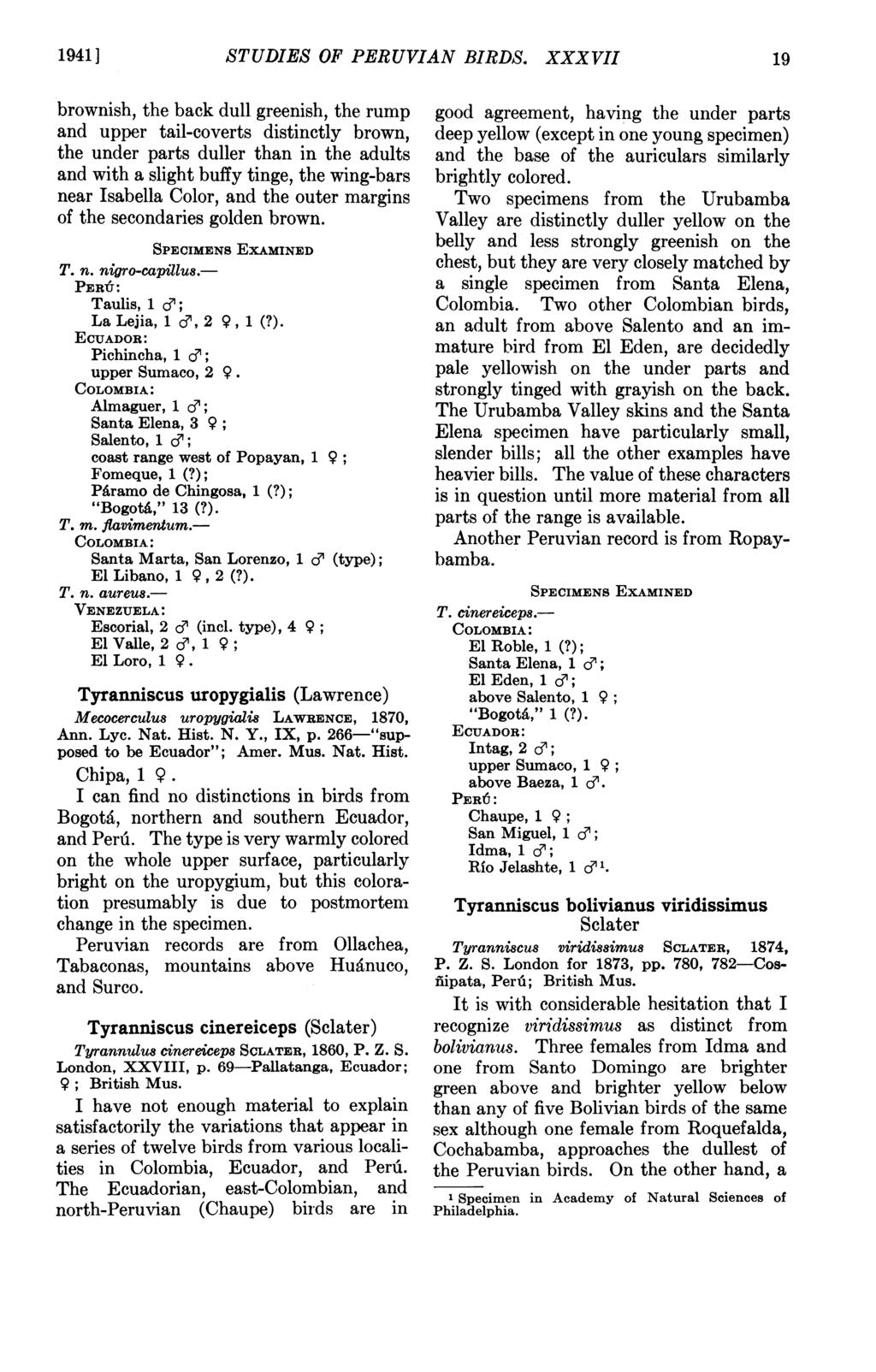 1941 ] STUDIES OF PERUVIAN BIRDS.