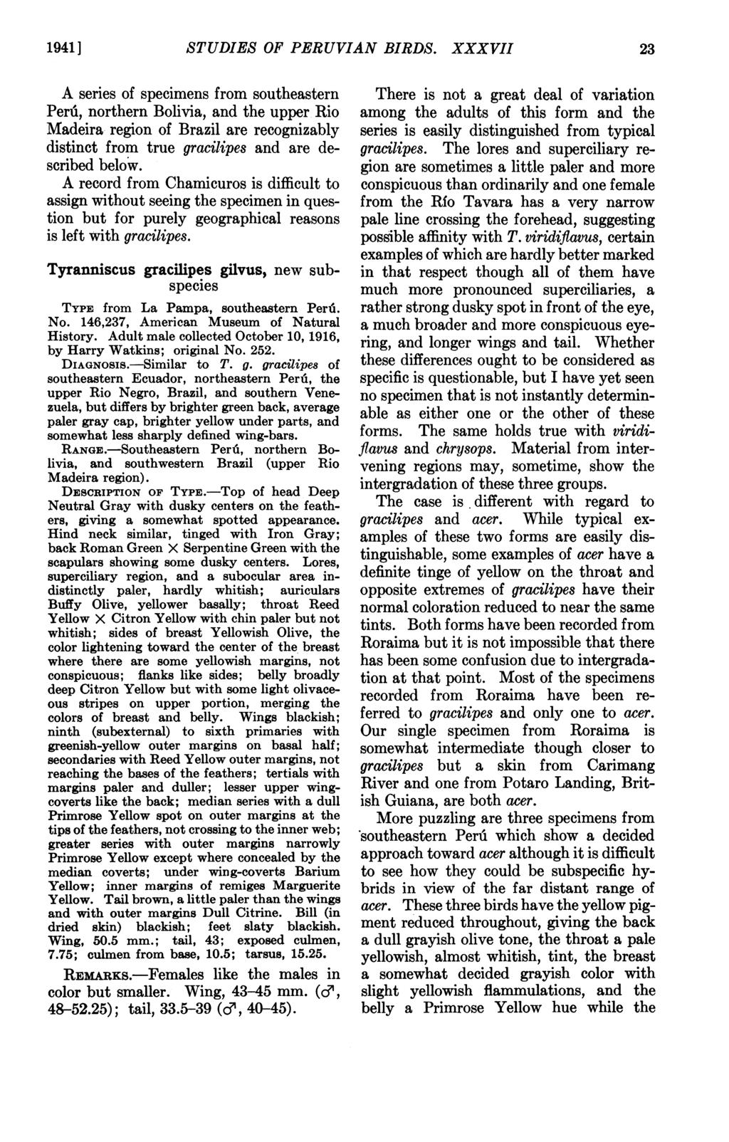 1941] STUDIES OF PERUVIAN BIRDS.