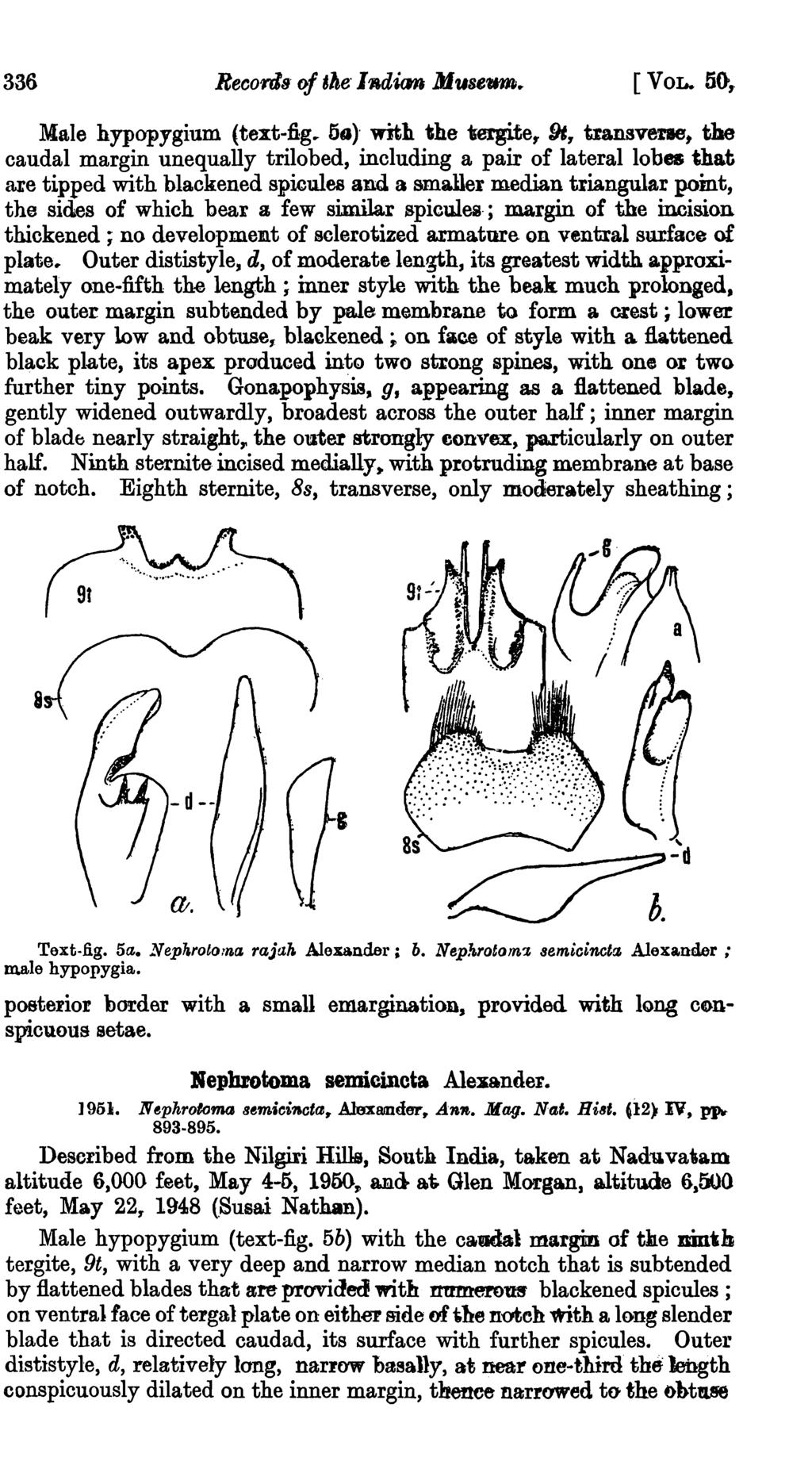 336 [VOL. 56,. Male hypopygium (text-fig.. 5a)' with the tergite,.