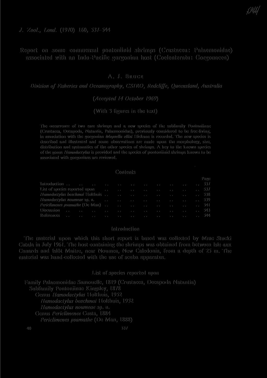 J. Zool., Lond. (1970) 160, 537-544 Report on some commensal pontoniinid shrimps (Crustacea: Palaemonidae) associated with an Indo-Pacific gorgonian host (Coelenterata: Gorgonacea) A. J.
