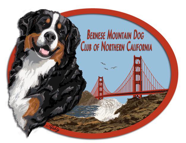 Bernese Mountain Dog Club of America Draft Test Hosted by the Bernese Mountain Dog Club of Northern California BERNESE MOUNTAIN DOG CLUB OF NORTHERN CALIFORNIA OFFICERS President:.
