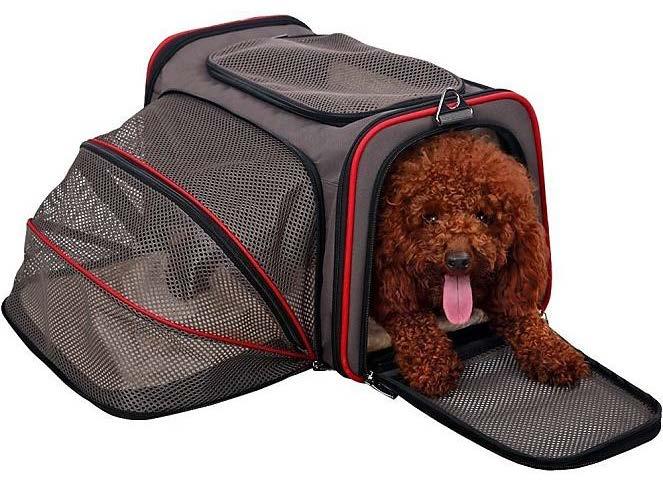 The website has information on airline pet policies ("Live animal in-cabin, checked baggage & cargo services for over 180 airlines"); pet passports ("Import requirements for over 240 countries");