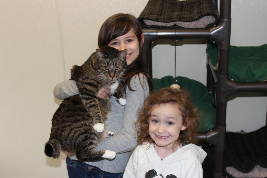 Our Placement Programs Our cat adoption and rehabilitation programs help us place homeless cats, including those with special needs, in loving homes.