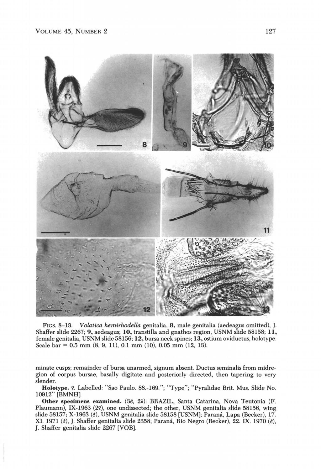 VOLUME 45, NUMBER 2 127 FIGS. 8-13. Volatica hemirhodella genitalia. 8, male genitalia (aedeagus omitted), J.