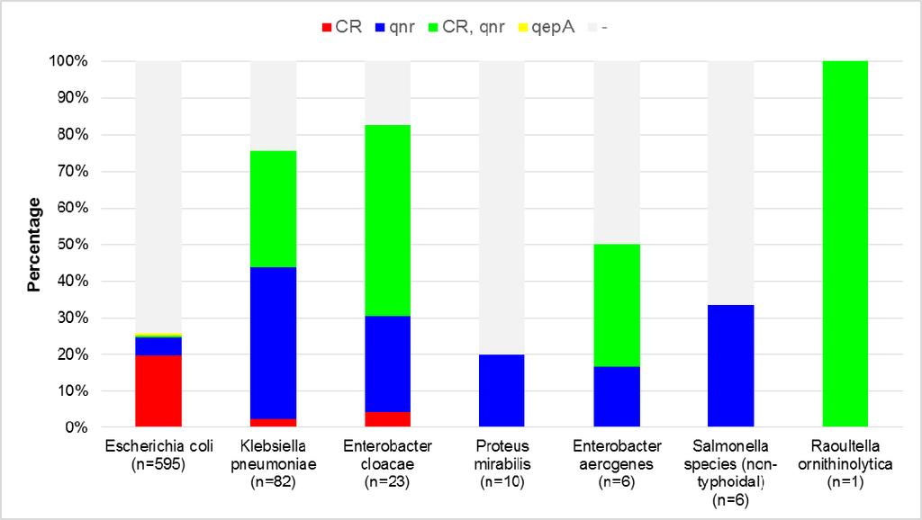 Figure 3. Proportion of Plasmid mediated quinolone resistance genes among species with ciprofloxacin MIC > 0.