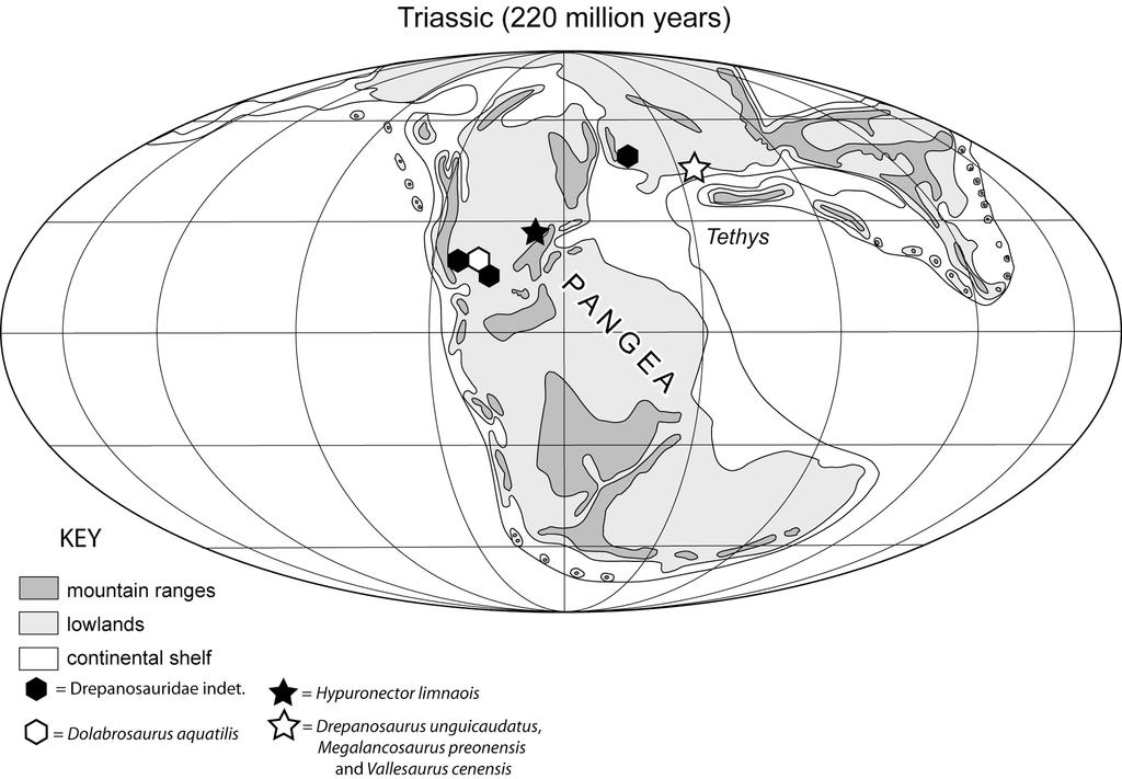 316 S. C. Renesto et al. Fig. 1. Paleogeographic map of the Late Triassic (~220 Ma) with drepanosaurid localities highlighted. Base map after WING & SUES (1992) RIEPPEL et al. (2003).