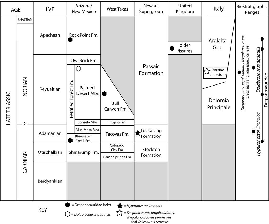 320 S. C. Renesto et al. Fig. 3. Correlation chart of drepanosaurid-bearing strata and biostratigraphic ranges of the Drepanosauridae.