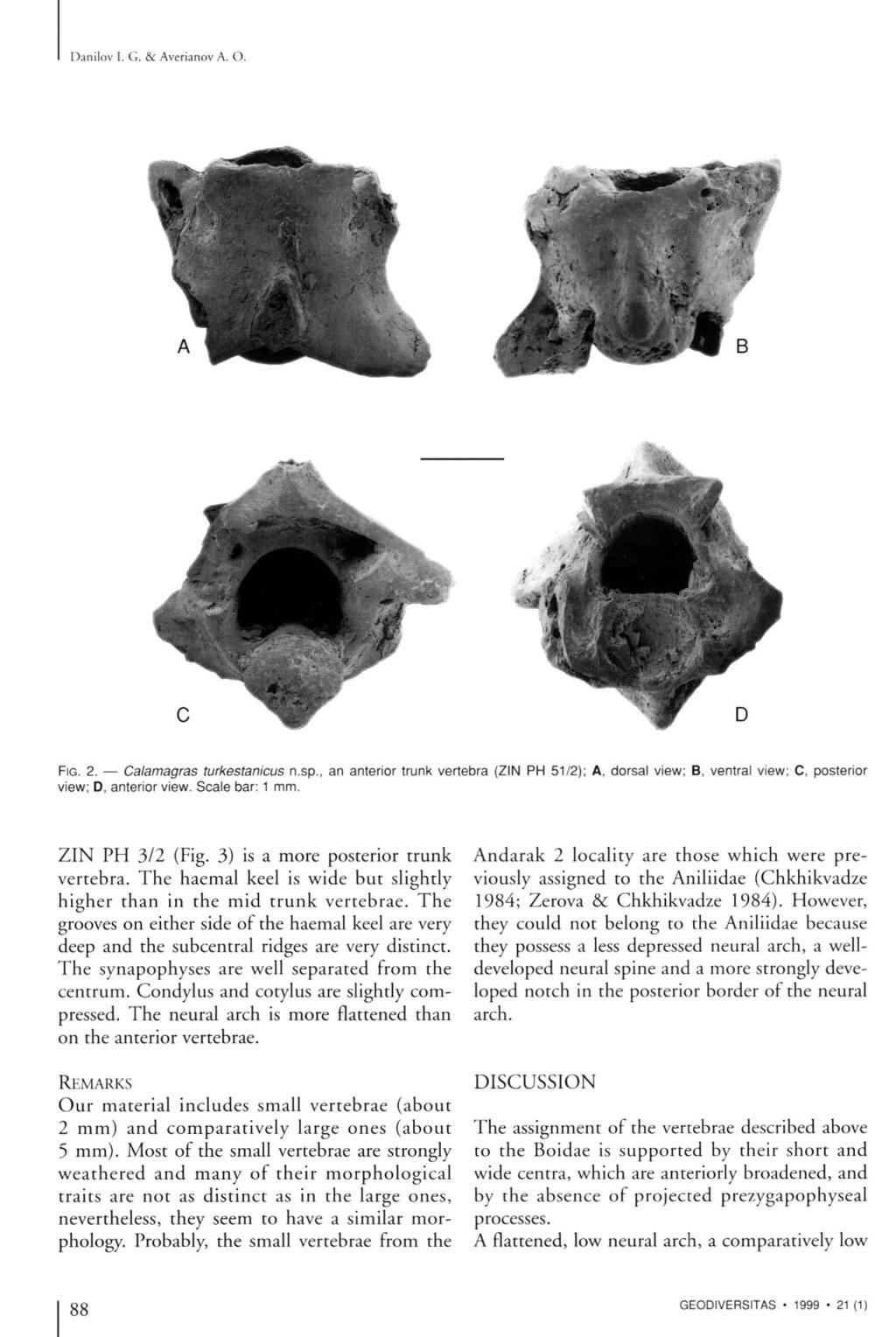 Danilov I. G. & Averianov A. O. V D FIG. 2. Calamagras turkestanicus n.sp., an anterior trunk vertebra (ZIN PH 51/2); A, dorsal view; B, ventral view; C. posterior view; D. anterior view.
