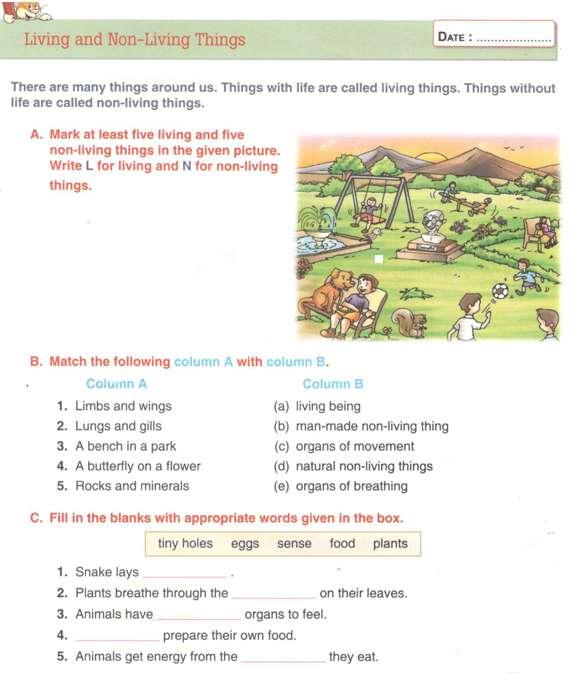 SCIENCE WORKSHEET 2 NAME- CLASS- 3/