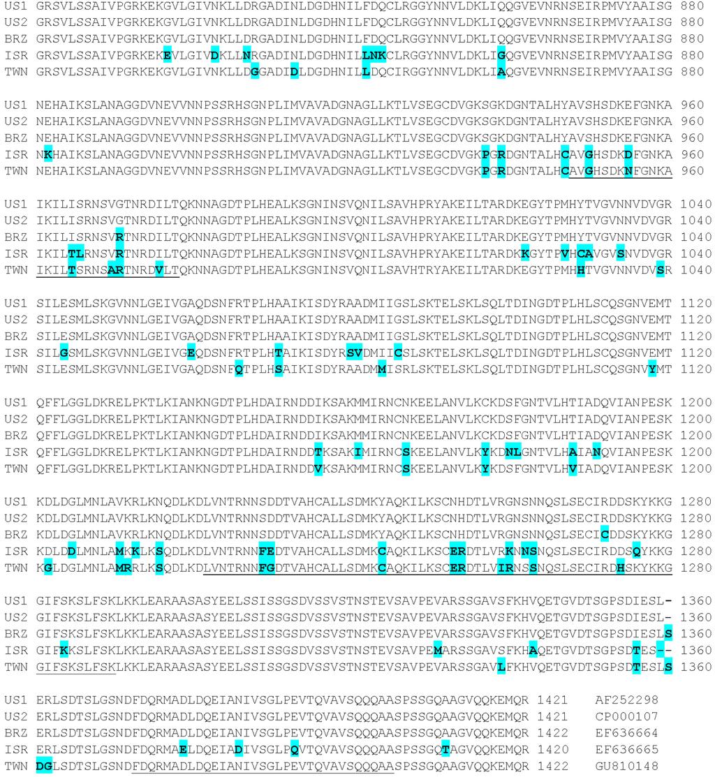 gp200-based phylogenetic analysis of Ehrlichia canis 337 Fig. 3. Continued.