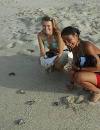 increase the technical skills of Panamanian partners for sea turtle conservation and monitoring; and (vii) support national governments in putting into force recommendations of